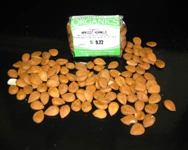 http://www.frot.co.nz/wapf/wapf_images/apricot_kernels.jpg