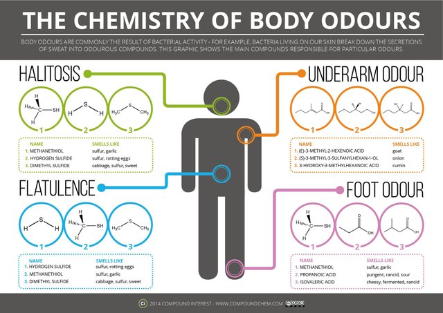 What Causes Body Odor And Why Some People Get It Worse Than Others 