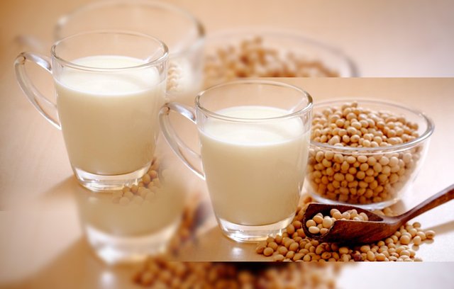 Image result for susu kedelai