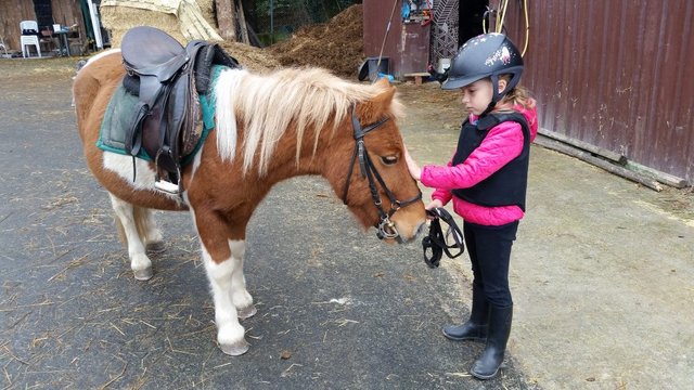 Resultado de imagen para niÃ±os en el hipodromo