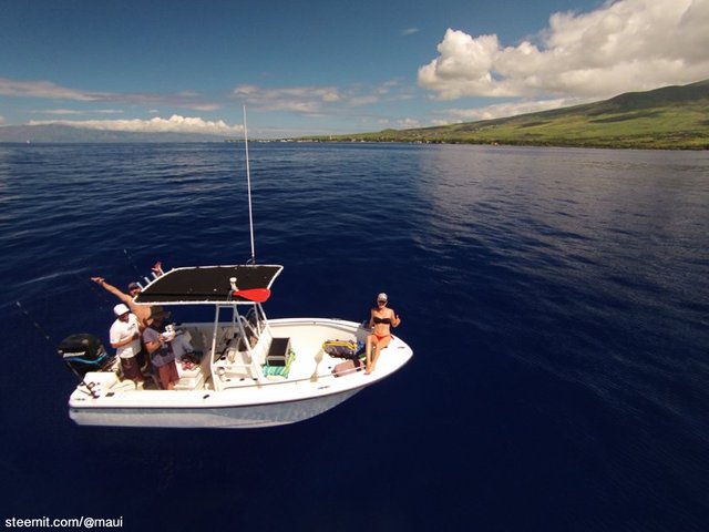 Image of our Lahaina boat trip