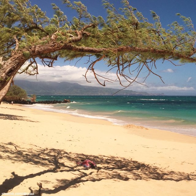 Image of lunch break in Paia