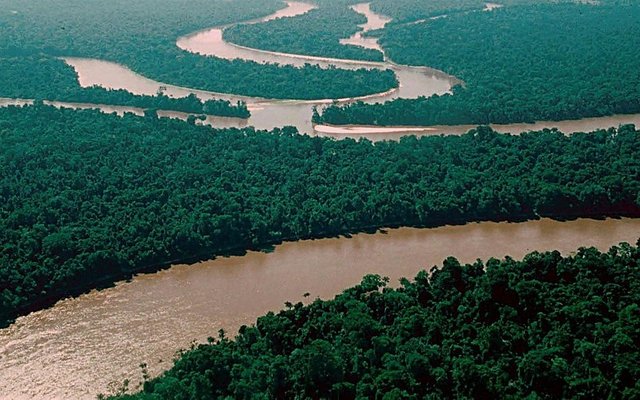 Rio Amazonas Selva brasil fondo de pantalla