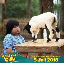 Film Koki-Koki Cilik