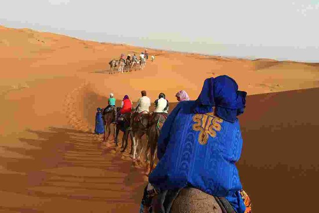 morocco_sahara_blue-top-camel-rder-line.jpg.pagespeed.ce.BFm-XpA9mI.jpg