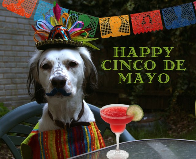 Cinco De Mayo t-shirts