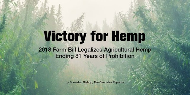 Hemp-2018-Farm-Bill