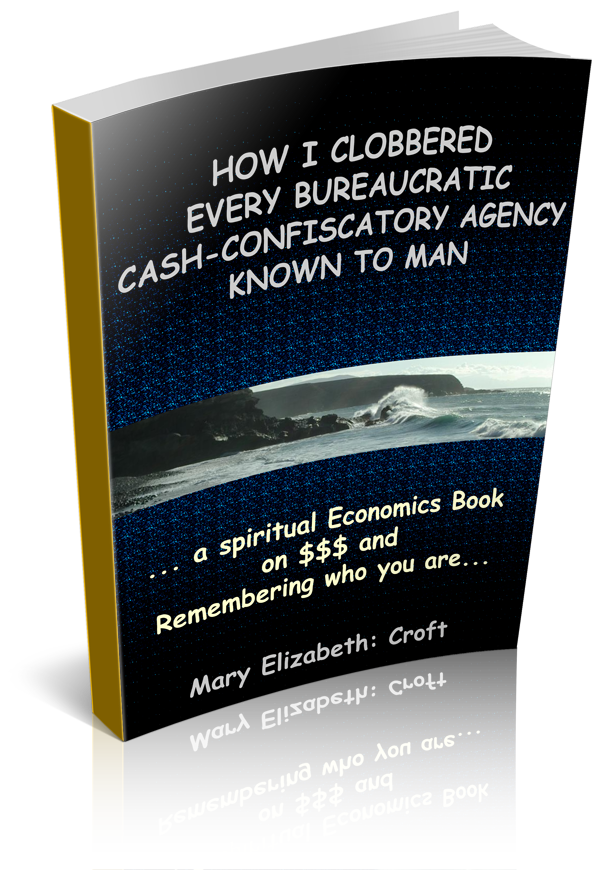 how-I-clobbered-every-bureaucratic-cash-confiscatory-agency-known-to-man