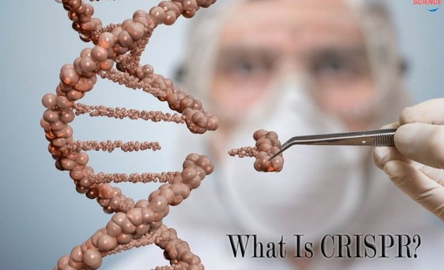 what is crispr