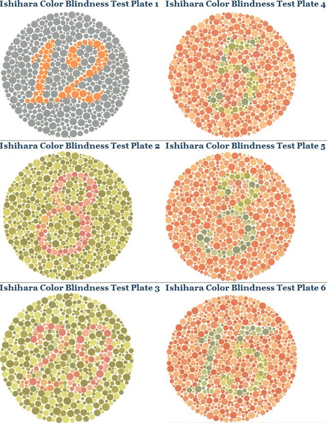 Colour Blind Test Chart
