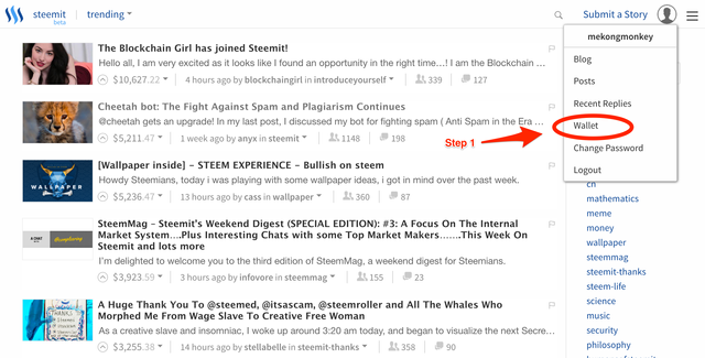 Steemit wallet