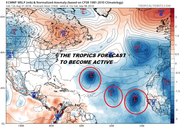 tropical depression 6 tropical storm florence