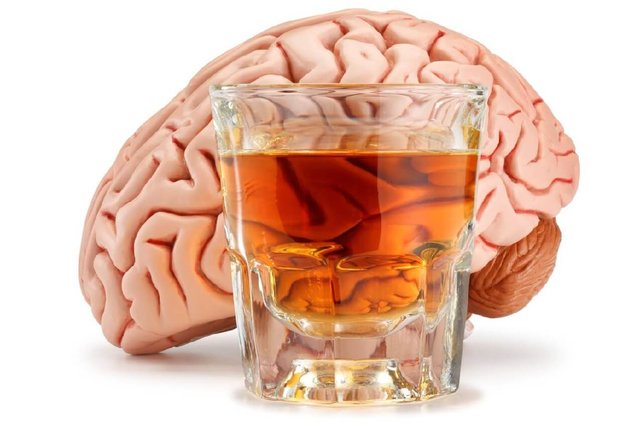 Effect of Alcohol on Brain