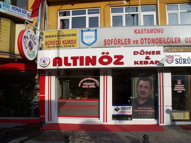 altinozdoner