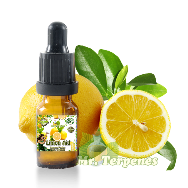 OrangeBottlewithorangefruid-MrTerpenes