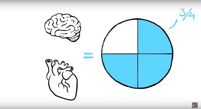 Brain-Heart-Three-Quatres-Water