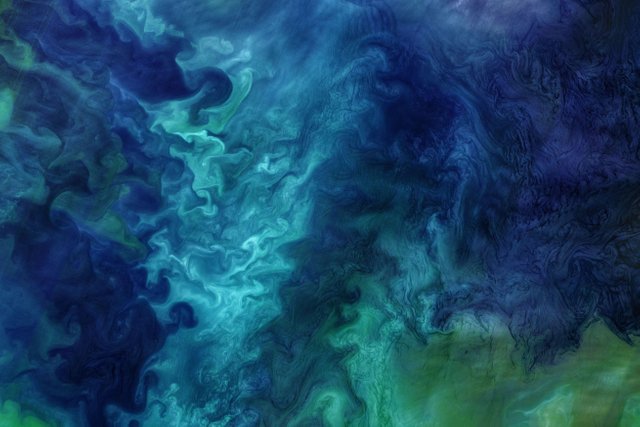 Regardless of the amount of winter ice cover, the waters off of the Alaskan coast usually come alive each spring with blooms of phytoplankton.