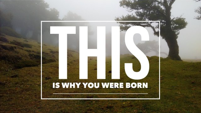 This-Is-Why-You-Were-Born-1140x641