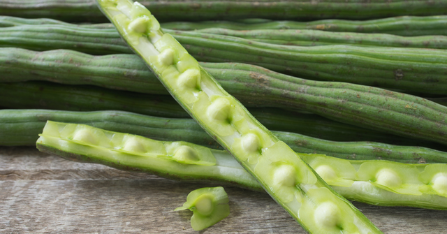 Drumstick Tree seed pods