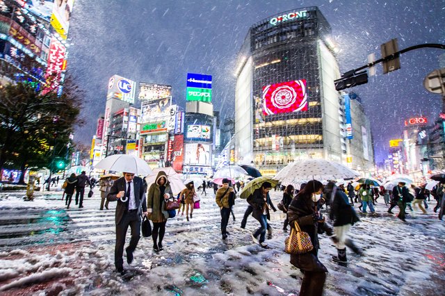 Image result for japan shibuya