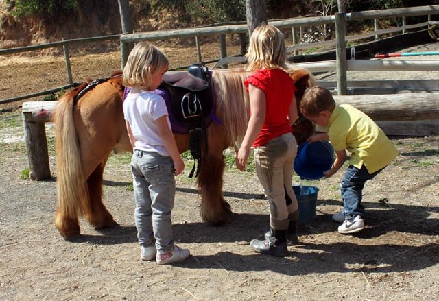 Resultado de imagen para niÃ±os en el hipodromo