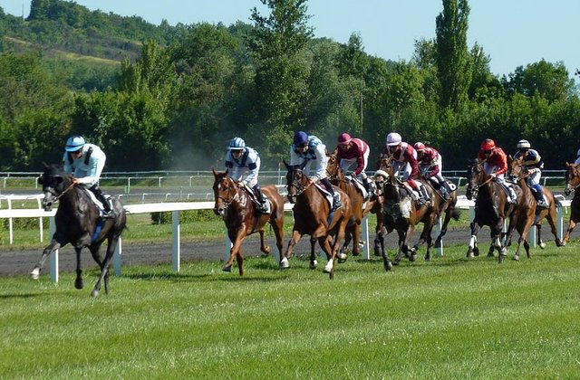 http://www.radiokerry.ie/wp-content/uploads/sites/16/Horse-Racing-3.jpg