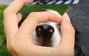 Snoot Challenge