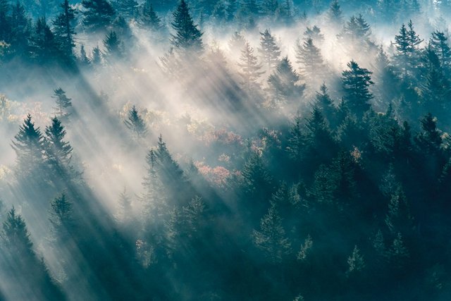 Smoky Mountains, Blue Ridge Parkway, North Carolina