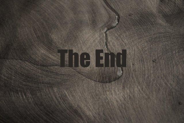 The End