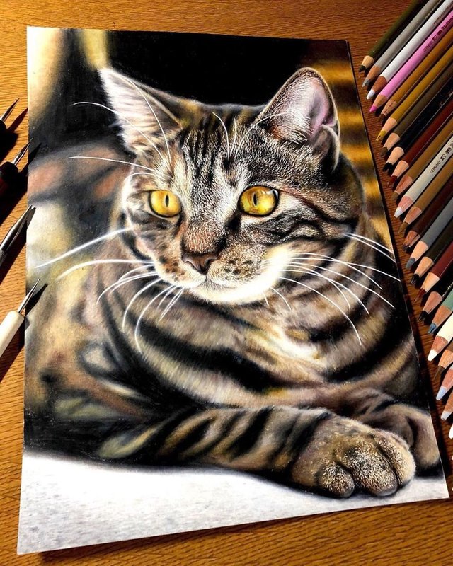 23 Desenhos Hiperrealistas De Gatos Que Parecem Fotografia