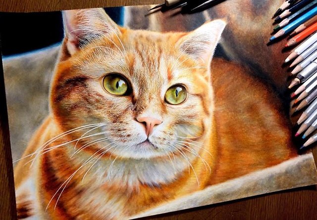 Desenhos incrivelmente realistas de gatos — Steemit