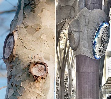 Architecture: Sagrada Familia — Steemit