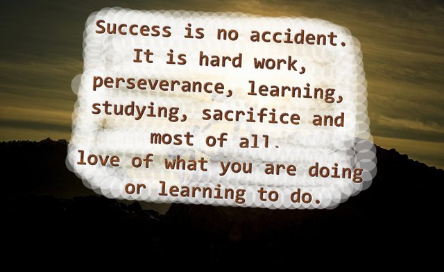 "Success is no accident. It is hard work, perseverance, learning, studying, sacrifice and most of all, love of what you are doing or learning to do."
