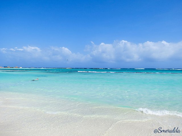 baby beach aruba