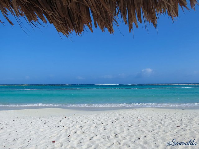 baby beach aruba