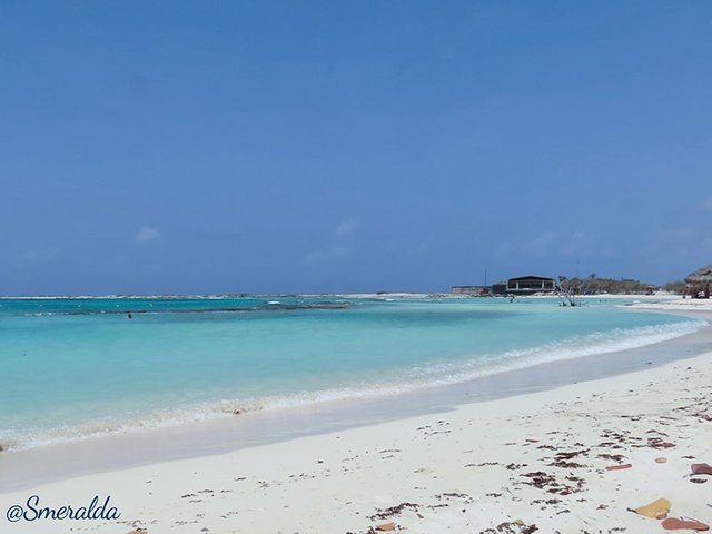 baby beach aruba