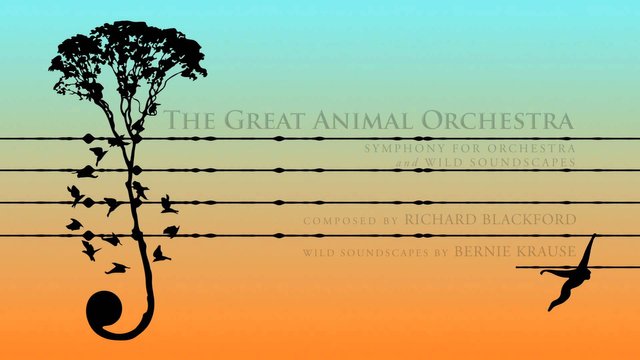 animal-orchestra16e7d.jpg