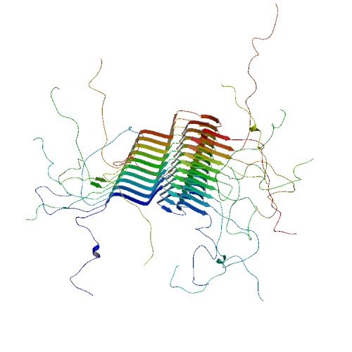 synucleinfibrilsd5371.jpg