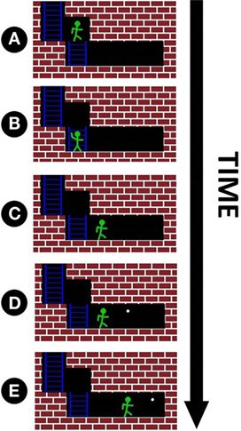 maze-brain5-time6c08b.jpg