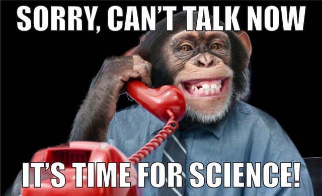 monkey-science-talk6ff54.jpg