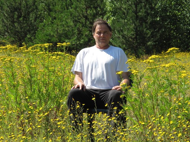 Optimized-Paulinflowers14c8d3.jpg
