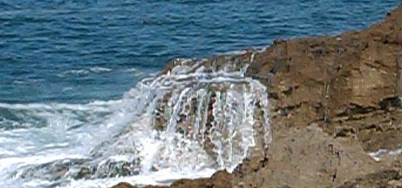 spume13f61.jpg