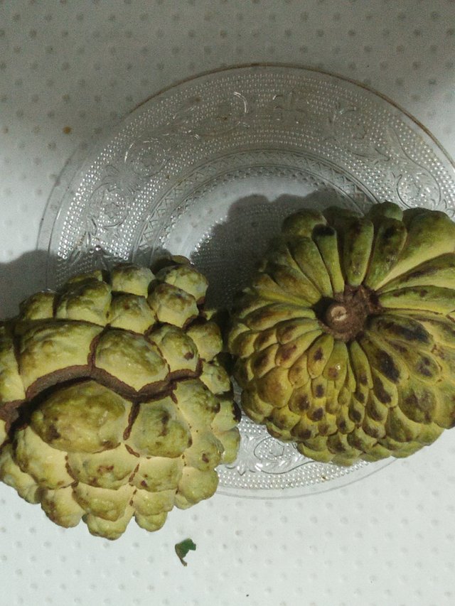 Did You Know The Health Benefits Of Custard Apple? — Steemit