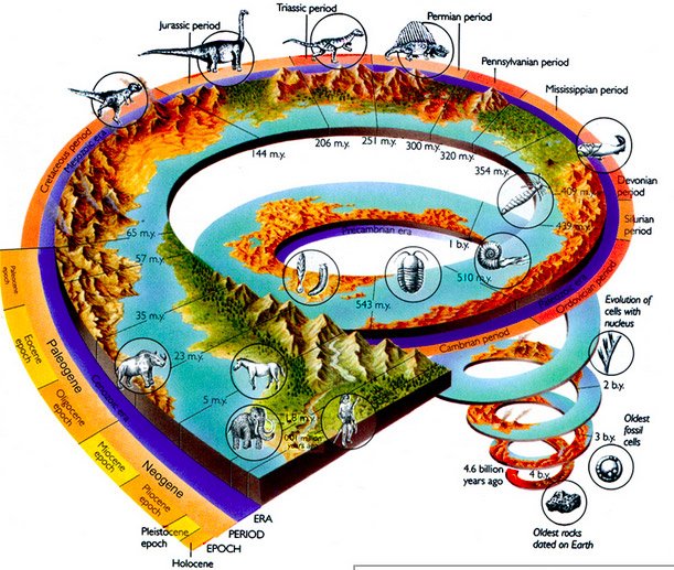 History-of-life-on-Earth-2f4b6d.jpg