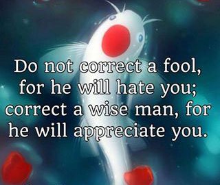 mistakes-correction-fools-wisdom1d8ba.jpg