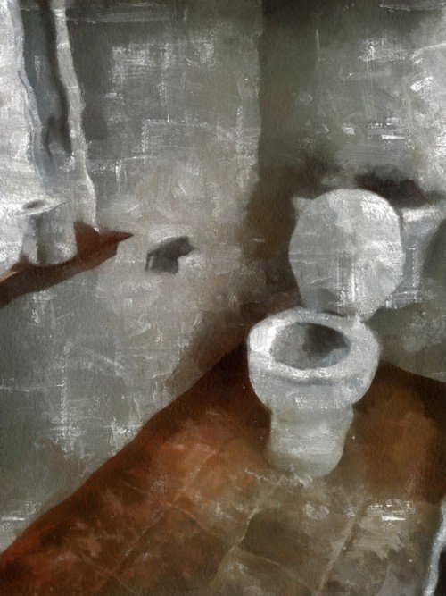 toilet_DAP_Tempera39834.md.jpg