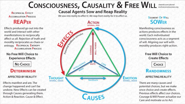 Consciousness-Causality-and-Free-Will66e7d90.jpg