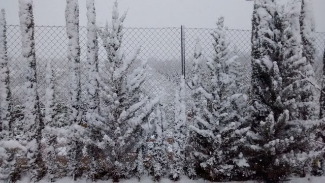 snow in murcia 02