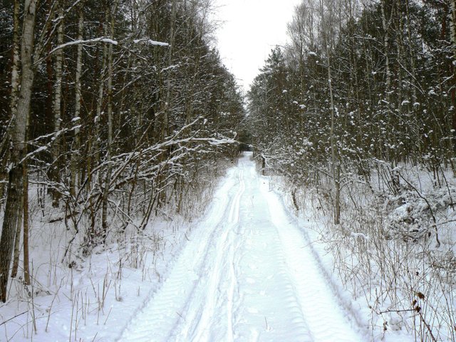 3ab0ee6af43db970a5c5a72c918f380b.jpg