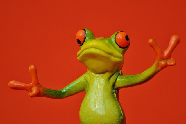 frog-1248621_12804e344.jpg